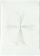 Lilies, crossed