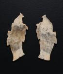 Pair of bird with fish tail pendants