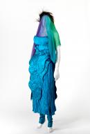 Peacock outfit