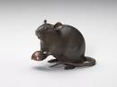 Rat with a chestnut