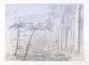 Dandenong Ranges, Victoria