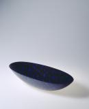 Dish