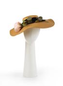Picture hat