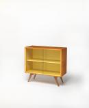 Snelling module cabinet (sliding glass door module)