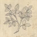 Template for a panel for a sideboard (bird on branch)