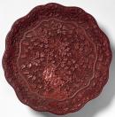 Dish