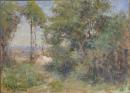 Forest camp