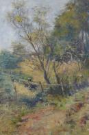 The wattle glade (The boundary of Mr MacGregor's garden, Mount Macedon)