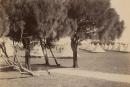 Military camp, Queenscliff