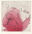 O rose II