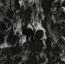 Eroded log