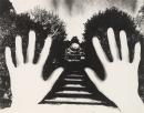 No title (Photogram of two hands and garden path)