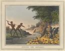 Hunting the kangaroo
