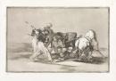 The Moors settled in Spain, giving up the superstitions of the Koran, adopted this art of hunting, and spear a bull in the open country
