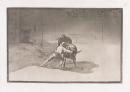 The famous Martincho places the 'banderillas' playing the bull with the movement of his body