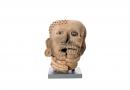 Head with life and death aspects
