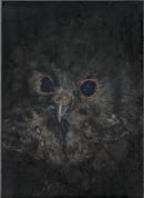 Untitled (Owl from Waldhaus)