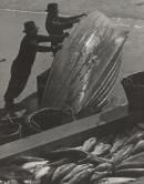 Salmon fishers