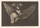 Flying folly