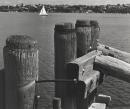 No title (Ferry wharf, Sydney)