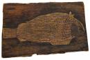 Dunbuhman, sooty grunter/black bream