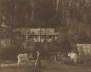 Fernshaw. The maiden all forlorn