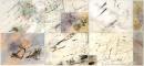Rare and unexpected sightings of the Embroidered Merops and the Spinifex Grasswren