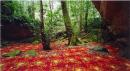 groundspeed (red piazza) #2
