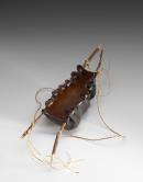 Kelp water carrier
