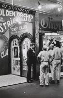 Golden Orchid, Kings Cross