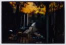 Untitled 2002/03