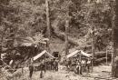 Miners at Zeehan