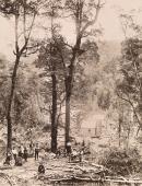 Maestris Camp, Mt Dundas