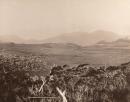 The Lodden Hills from Mt Arrowsmith