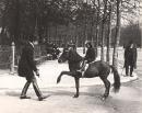 Could Marcel Proust's Gilberte be this little equestrienne on the rue des Acacias?