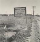 Real Estate sign along highway, Riverside County, California