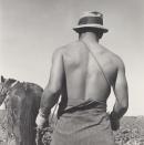 Spring ploughing in cauliflower fields, Guadalupe, California