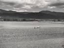 Shenandoah Valley, Virginia