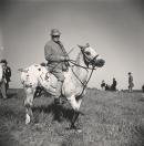 One of the judges at the horse races, Warrenton, Virginia