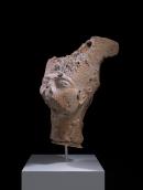 Head of Queen Nefertiti
