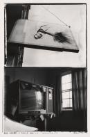 Bad dream in Venice and Los Angeles, March 29, 1978