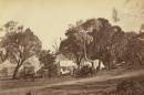 Scene, camp meeting, near Point Lonsdale
