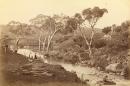 View on the Moorabool River, Batesford