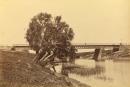 Scene at Woady Yaloak Creek, Cressy, Western District