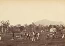Aboriginal cricketers at Coranderrk