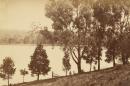 Scene at Gong Gong, Ballarat water supply