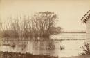 Winter scene, Lake Wendouree, from Botanic Gardens, Ballarat