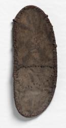 Pig skin shield