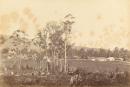 General view of Coranderrk Aboriginal Station