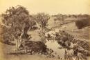 View on the Barwon River, Winchelsea